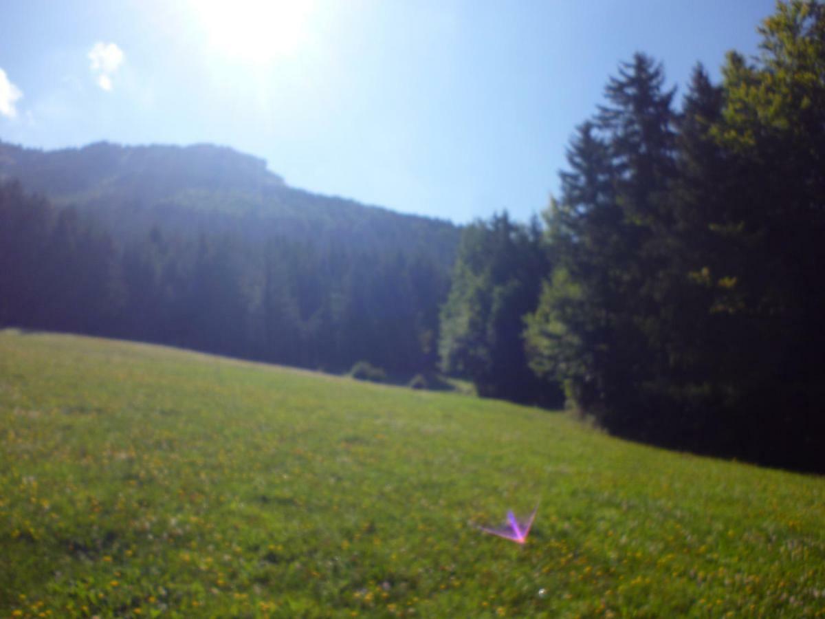 Le chalet de la Conversaria Bed & Breakfast Villard-de-Lans Luaran gambar